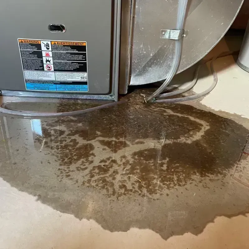 Appliance Leak Cleanup in Fayette County, KY